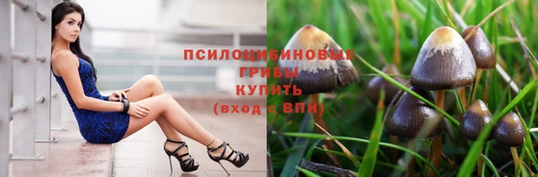 МДПВ Арсеньев