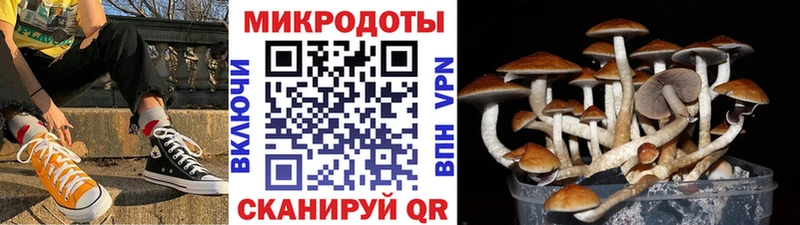 Галлюциногенные грибы прущие грибы  Ахтубинск 